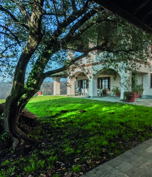 Villa con porticato, giardino verde e grande albero